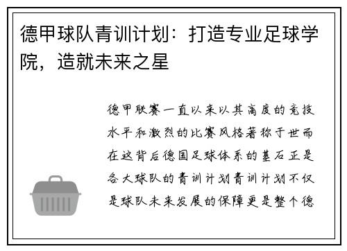 德甲球队青训计划：打造专业足球学院，造就未来之星