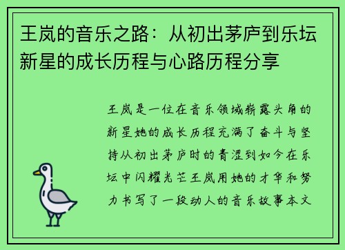 王岚的音乐之路：从初出茅庐到乐坛新星的成长历程与心路历程分享