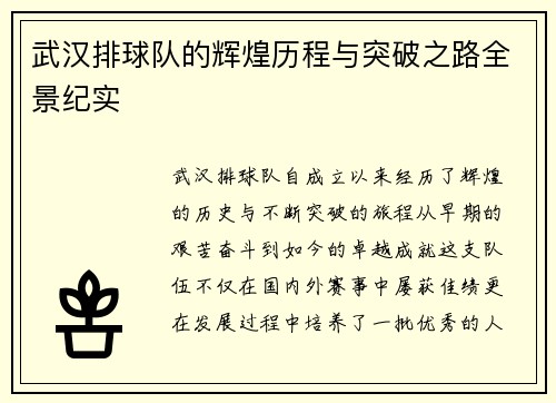 武汉排球队的辉煌历程与突破之路全景纪实